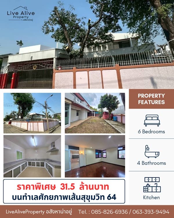 สินทรัพย์ศักยภาพสูง ทำเลทองสุขุมวิท ขายด่วน ! บ้านพร้อมที่ดินแปลงสวย ทำเลทองสุขุมวิท 64 แปลงหัวมุม สังคมบ้านหลังใหญ่ เข้ 4