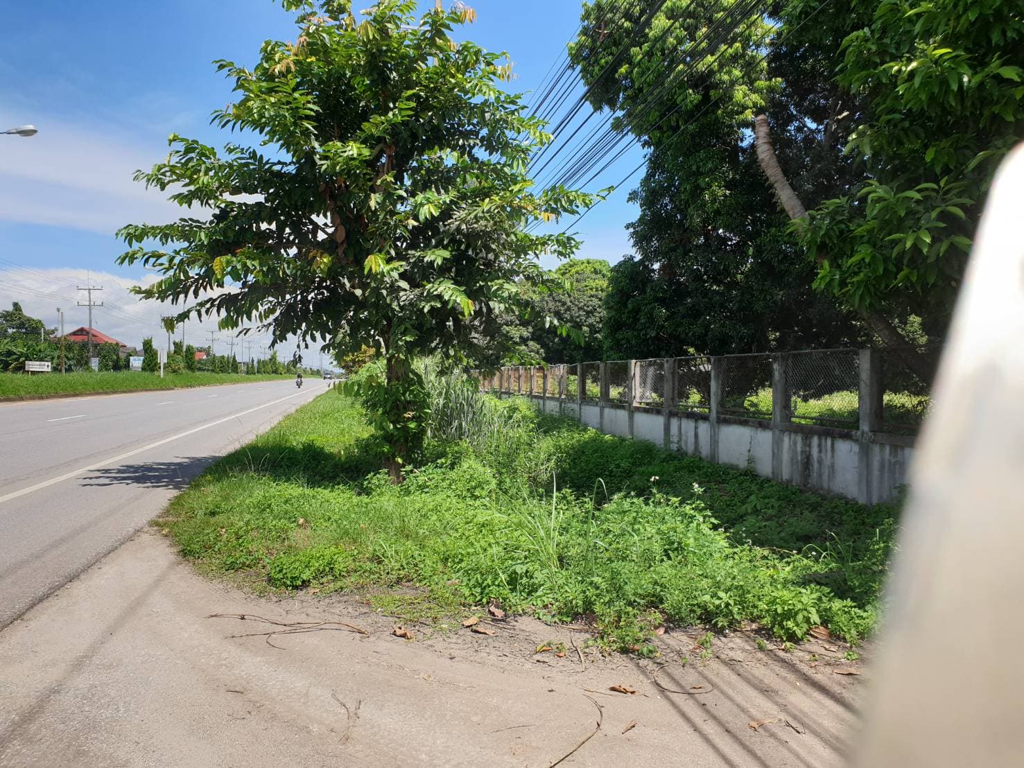 ขายที่ดินติดถนนพหลโยธิน ตำบลป่าซาง อำเภอแม่จัน จังหวัดเชียงราย พื้นที่ 359-3-10.8 ไร่