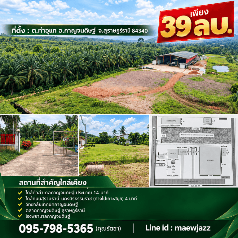 ขายถูกมาก!! ที่ดิน + อาคาร + โกดัง ขนาด 25 ไร่ ทำเลดี อ.กาญจนดิษฐ์ จ.สุราษฎร์ธานี ใกล้อำเภอเมืองสุราษฎร์ธานี 5