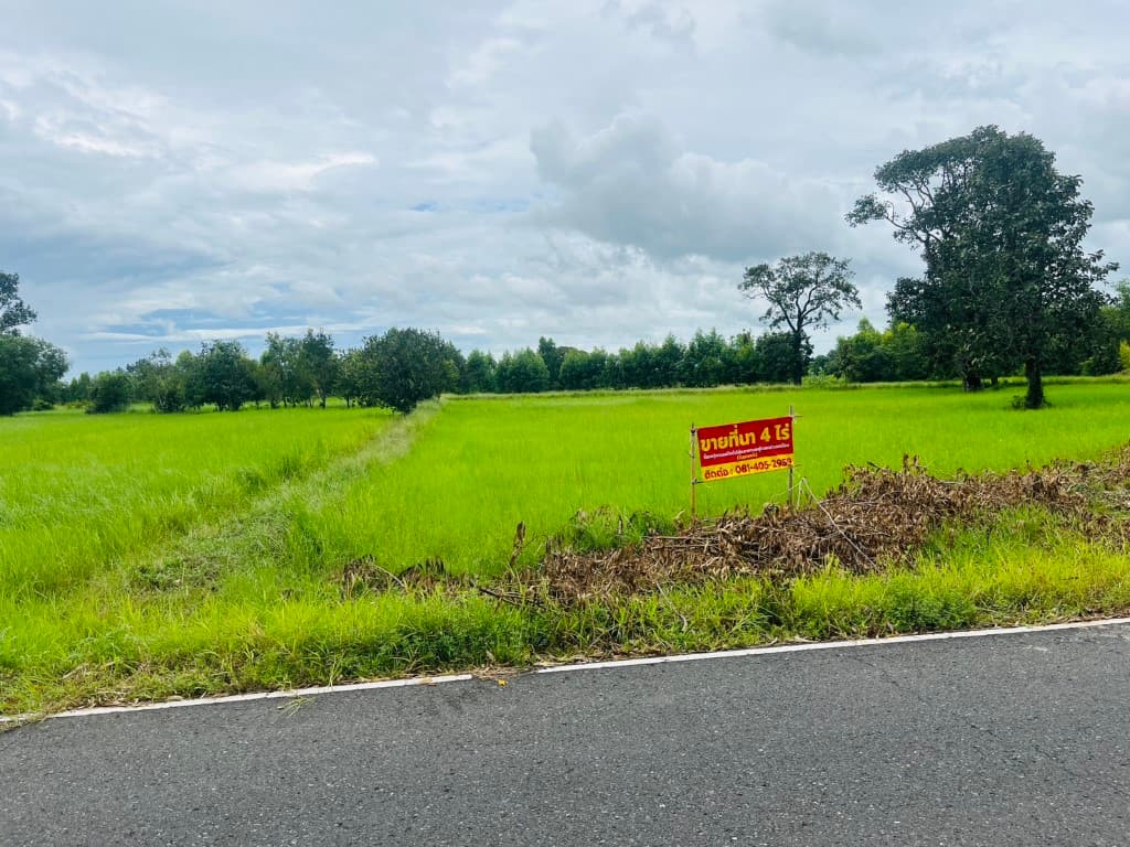 ขายถูกมาก!! ที่ดิน 4 ไร่ ติดถนน ทำเลดี อ.เมือง จ.ศรีสะเกษ ใกล้แม็คโคร โลตัส ม.เฉลิมกาญจนา ฯ 3