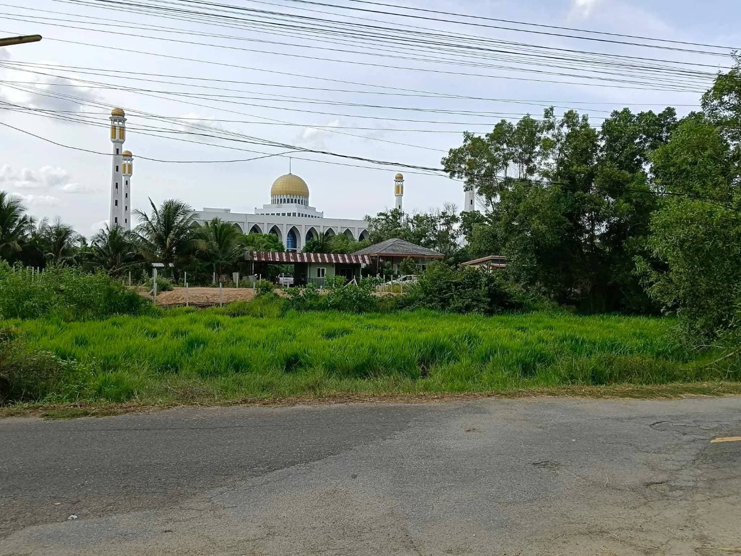 ขายถูกมาก!! ที่ดิน 45 ตร.ว. 2 แปลงติดกัน ติดถนน ทำเลทอง ต.คลองแห อ.หาดใหญ่ จ.สงขลา ใกล้ตลาดน้ำ บิ๊กซีฯ 3