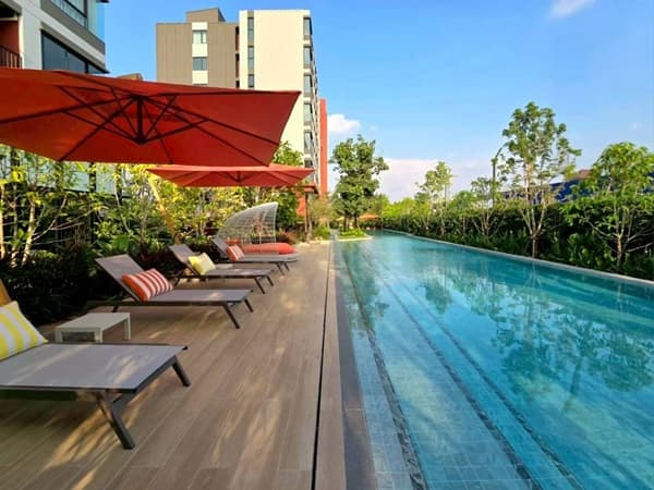 ขายคอนโด ใหม่ ดีคอนโด วิวิด รังสิต ตรงข้าม ม.กรุงเทพ ข้ามสะพานลอยก็ถึงมหาลัย พร้อมอยู่ โทร 0616161426 5