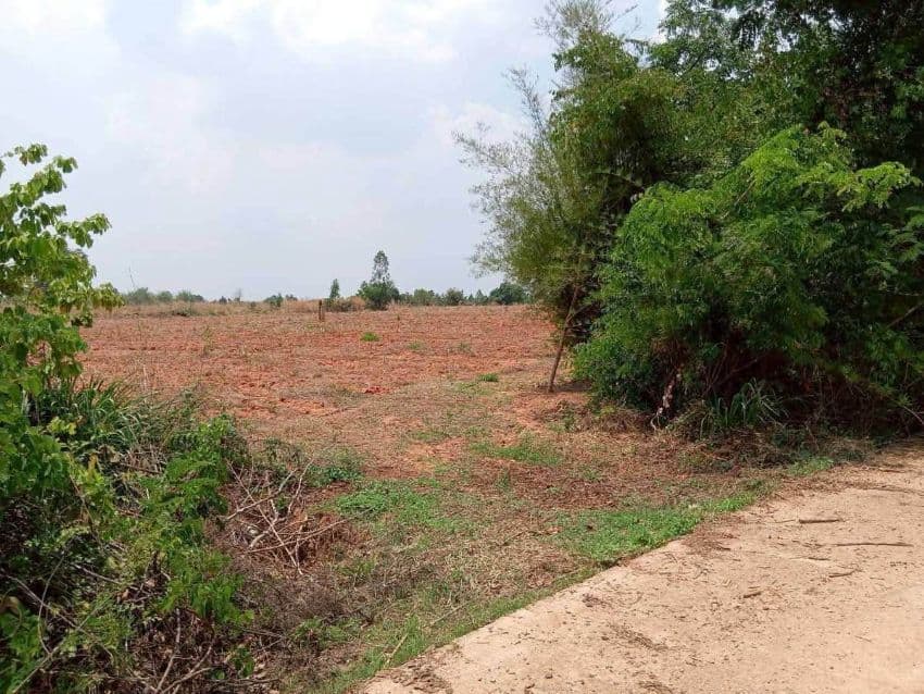 ขายที่ดิน 12ไร่ นส.3 หนองแปน มัญจาคีรี ขอนแก่น 4