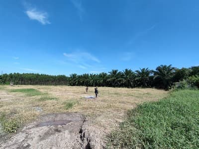 ขายที่ดิน หนองชาก บ้านบึง ชลบุรี ใกล้นิคมอุตสาหกรรมแห่งใหม่ 1.5 กม. เหมาะสร้างคลังสินค้า บ้านจัดสรร 5
