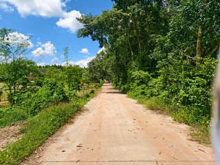 ขายที่ดิน 11 ไร่ บ้านหนองเม็ก หมู่ 15 ซอยบ้านม่วงหวานซอย 1 ต.หนองเหียง อ.พนัสนิคม ฝั่งบายพาส ห่างจาก ถนน 331 (1.5 กม.) ไ 3