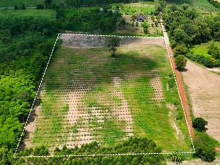 ขายที่ดิน 11 ไร่ บ้านหนองเม็ก หมู่ 15 ซอยบ้านม่วงหวานซอย 1 ต.หนองเหียง อ.พนัสนิคม ฝั่งบายพาส ห่างจาก ถนน 331 (1.5 กม.) ไ