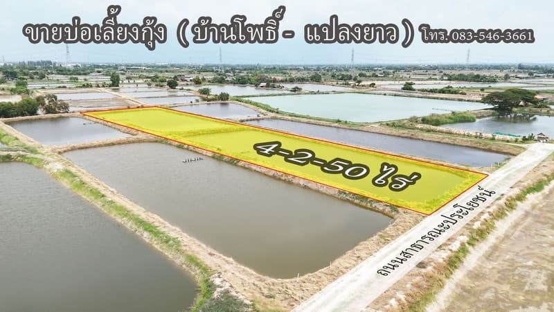 ขาย บ่อกุ้ง บ้านโพธิ์ ฉะเชิงเทรา ใกล้ มินิ มูร่าฟาร์ม ตร.ว.ละ 1,500 บาท 3