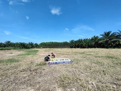 ขายที่ดิน หนองชาก บ้านบึง ชลบุรี ใกล้นิคมอุตสาหกรรมแห่งใหม่ 1.5 กม. เหมาะสร้างคลังสินค้า บ้านจัดสรร 4