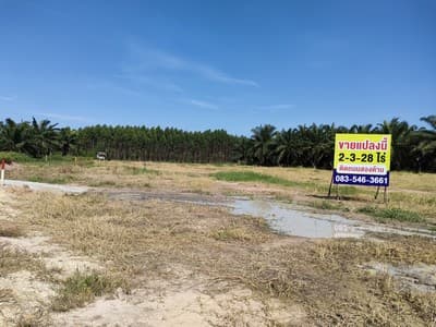 ขายที่ดิน หนองชาก บ้านบึง ชลบุรี ใกล้นิคมอุตสาหกรรมแห่งใหม่ 1.5 กม. เหมาะสร้างคลังสินค้า บ้านจัดสรร 3