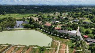 ขายที่ดิน บ้านน้ำซับ ต.นาวังหิน พนัสนิคม ใกล้ตลาดน้ำ 3 วัง ยกแปลง 5-3-2 ไร่ เพียง 3.9 ล้านบาท ฟรีโอน 6