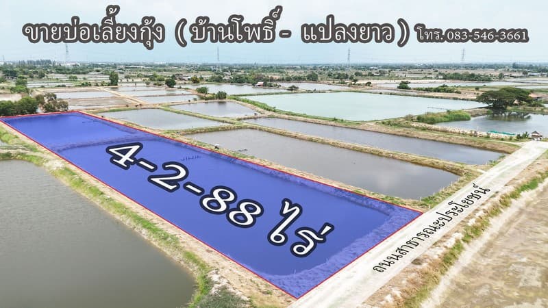 ขาย บ่อกุ้ง บ้านโพธิ์ ฉะเชิงเทรา ใกล้ มินิ มูร่าฟาร์ม ตร.ว.ละ 1,500 บาท 2