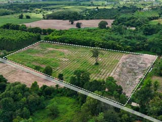 ขายที่ดิน 11 ไร่ บ้านหนองเม็ก หมู่ 15 ซอยบ้านม่วงหวานซอย 1 ต.หนองเหียง อ.พนัสนิคม ฝั่งบายพาส ห่างจาก ถนน 331 (1.5 กม.) ไ 2