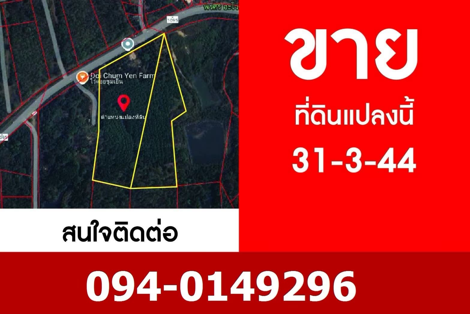 🏡ขายที่ดิน แม่แตงเชียงใหม่ ติดถนนหลัก แม่แตง-ปาย พร้อมสวนยางพารา สวนลำใย พื้นที่ 31-3-44 ไร่ 2