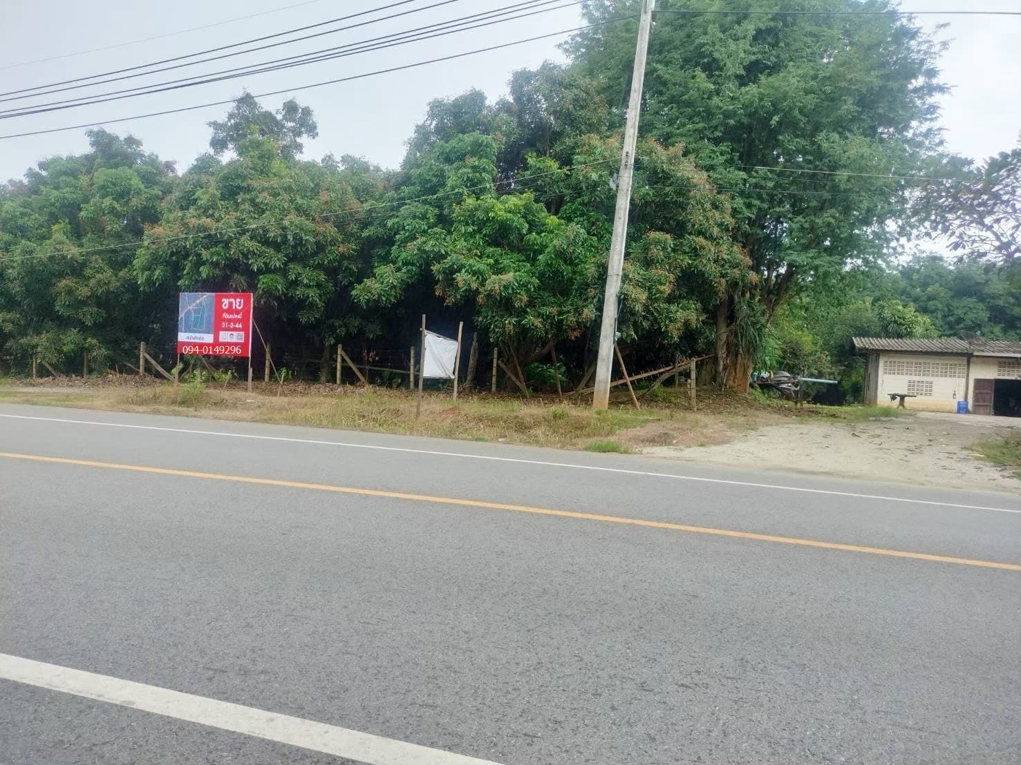 🏡ขายที่ดิน แม่แตงเชียงใหม่ ติดถนนหลัก แม่แตง-ปาย พร้อมสวนยางพารา สวนลำใย พื้นที่ 31-3-44 ไร่ 3