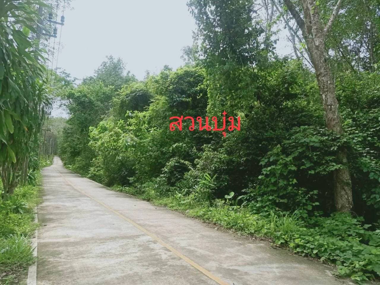 ขายที่ดินบนเกาะ สวยมากๆที่ราบเชิงเขา มีจุดชมวิวทะเล เหมาะสำหรับพัฒนาเป็น บ้านพักอาศัย, บังกะโล, วิลล่า หรือรีสอร์ท มี 6