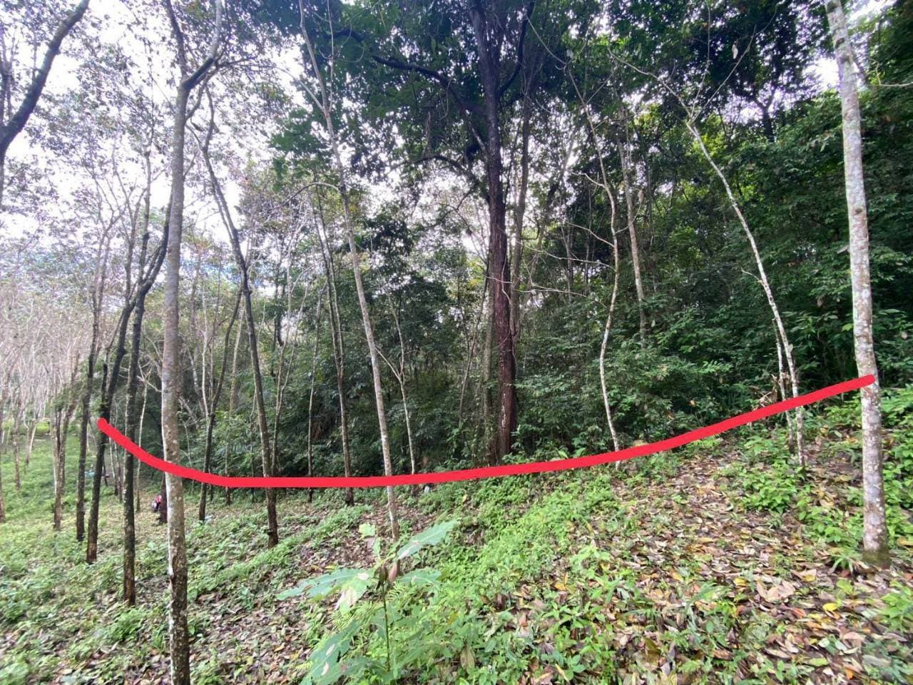 ขายที่ดินบนเกาะ สวยมากๆที่ราบเชิงเขา มีจุดชมวิวทะเล เหมาะสำหรับพัฒนาเป็น บ้านพักอาศัย, บังกะโล, วิลล่า หรือรีสอร์ท มี