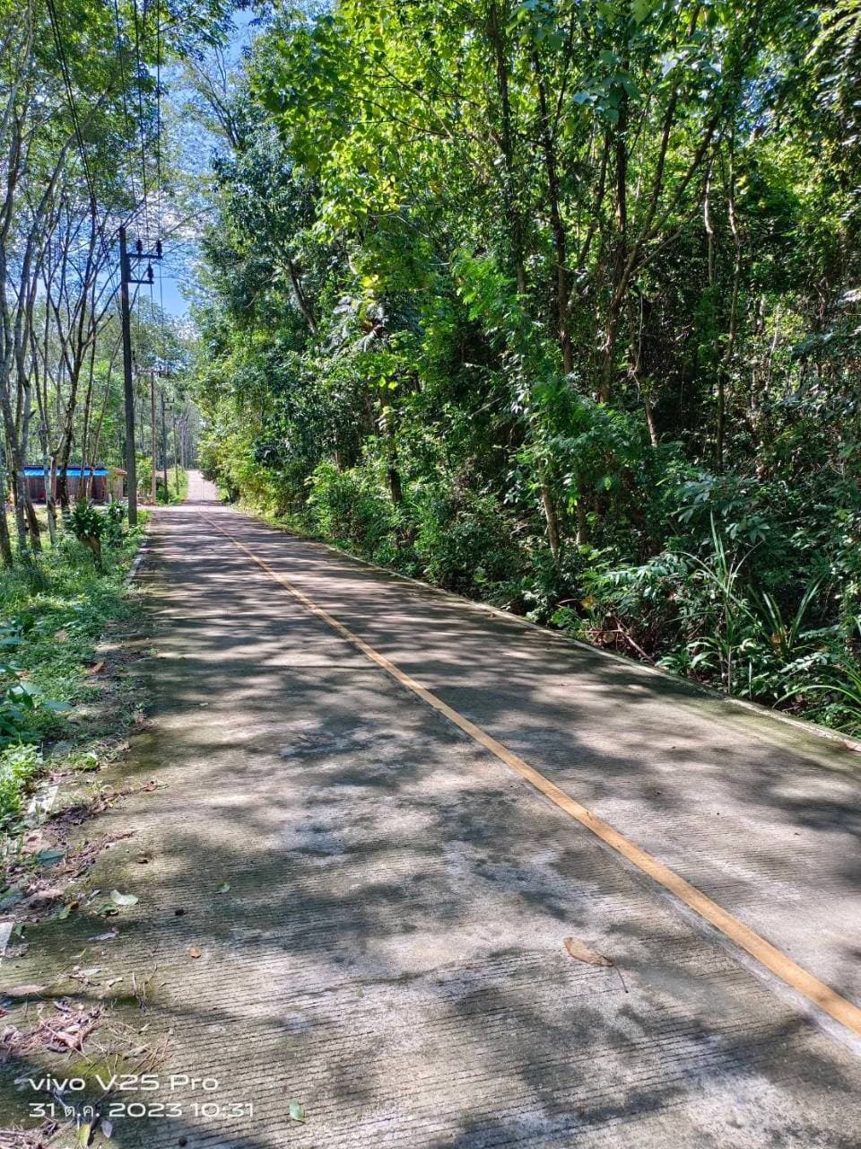 ขายที่ดินบนเกาะ สวยมากๆที่ราบเชิงเขา มีจุดชมวิวทะเล เหมาะสำหรับพัฒนาเป็น บ้านพักอาศัย, บังกะโล, วิลล่า หรือรีสอร์ท มี 5