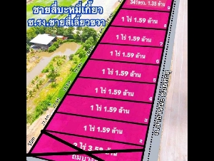 #ที่ดินทำเลดี ท้องมังกรทอง #ที่ดินคลอง 6 (ใกล้ซอยคลองหกตะวันตก47) คลองหลวง ปทุมธานี (หลัง รง. ชายสี่บะหมี่เกี๊ยว)