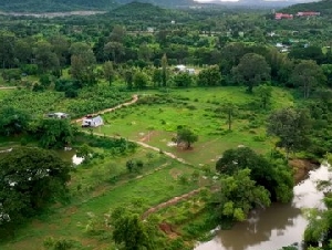 ขายที่ดินติดแม่น้ำเพชรบุรี โฉนดครุฑแดง เพชรบุรี ขายที่ดินริมน้ำ อำเภอท่ายาง เพชรบุรี ใกล้กรุงเทพ น้ำไฟพร้อม น้ำไม่ท่วม ฮวงจุ้ยท้องมังกร 