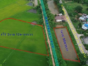 Land for sale Chaiyaphum ขายที่ดินชัยภูมิ มี 2 แปลง สามารถถมดิน ทำบ้าน ทำธุรกิจค้าขายได้ โทร 061-1195112